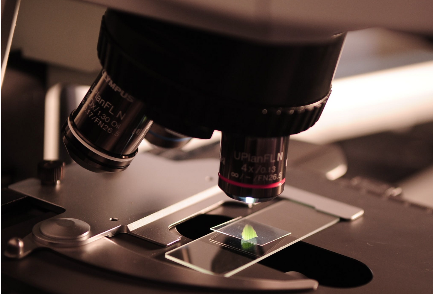 RECENT STUDIES ON CBD