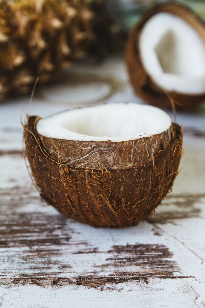An image of a coconut.