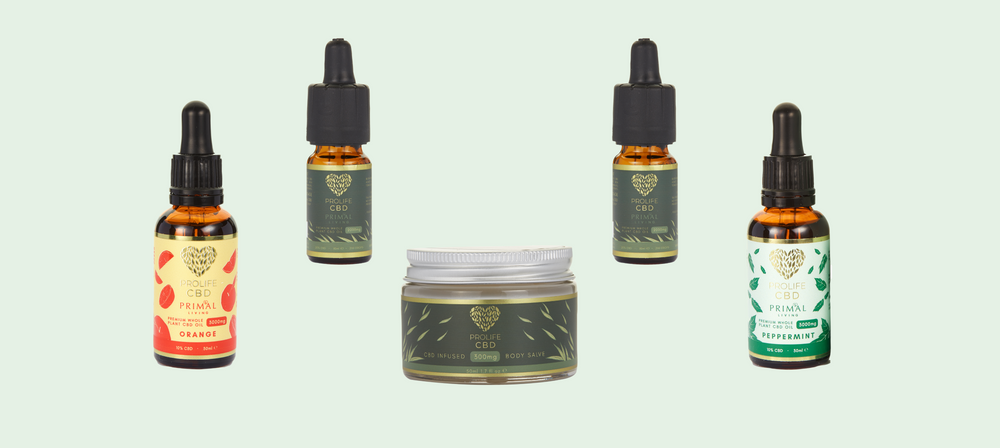 Our Best-Selling CBD Products